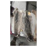 2 RACCOON PELTS