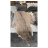 TANNED WHITETAIL DEER HIDE