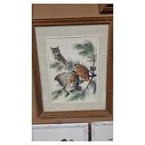 AUDUBON 'LITTLE SCREECH OWL'