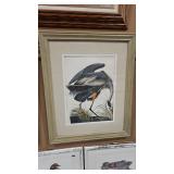 AUDUBON 'GREAT BLUE HERON'