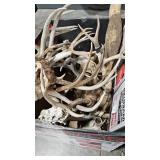 LARGE GROUP OF ASSORTED ANTLERS