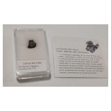 CAMPO DEL CIELO METEORITE  W/ CERT