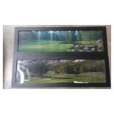 2 FRAMED GOLF COURSE  PHOTOS