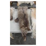 SILVER FOX PELT