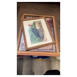 WOODPECKER PRINT & TWO 13 COLONY COLLECTION OF