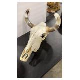 BULL SKULL