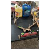 MULE DEER ANTLERS