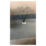 DECORATIVE BLACK FAN CORAL ON BASE