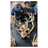 4 DEER ANTLERS