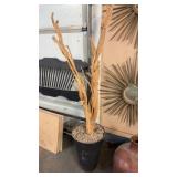DRIFTWOOD DECORATION & POT