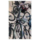 CRANBROOK LADIES CRUISER BIKE