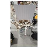 GROUP OF ANTLERS