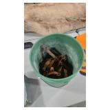 BUCKET OF ANIMAL TRAPS