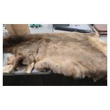 TANNED ELK HIDE
