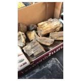 GROUP OF PETRIFIED WOOD