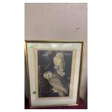 VINTAGE SNOWY OWL PRINT