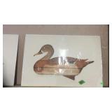 SIGNED & NUMBERED MALARD HEN DUCK PRINT