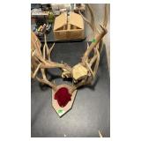 3 MULE DEER ANTLER MOUNTS