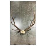 ELK ANTLER MOUNT