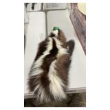 SKUNK PELT
