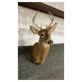 WHITETAIL SHOULDER MOUNT