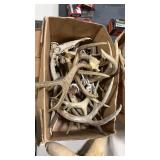 BOX OF ANTLERS AND ASSORTED ANTLERS