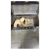 BIG HORN RAM SKULL