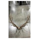 ELK ANTLER MOUNT