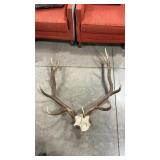 ELK ANTLER MOUNT