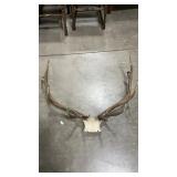 ELK ANTLER MOUNT