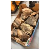 GROUP OF PETRIFIED WOOD