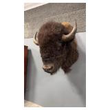 AMERICAN BISON SHOULDER MOUNT