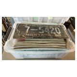 LARGE GROUP ASSORTED LICENSE PLATES