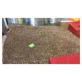 INDOOR OUTDOOR CARPET