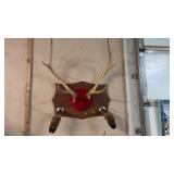 ELK ANTLER MOUNT W/ FEET