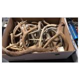 BX OF ELK & DEER ANTLERS