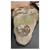 AMMONITE & ORTHOCERAS FOSSIL DISPLAY PLAQUE