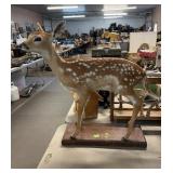 TAXIDERMY MOUNTED FAWN DEER