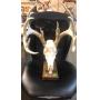 September 8th 2026 Online Auction