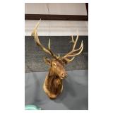 ROCKY MOUNTAIN ELK SHOULDER MOUNT
