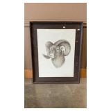 GENE GALASSO - BIG HORN SHEEP