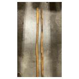 2 INNER CACTUS CORE WALKING STICKS