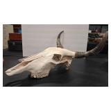 COW SKULL
