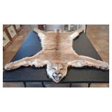 MOUNTAIN LION RUG