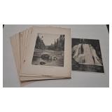 EARLY 1900'S NATURE PHOTO PRINTS WASHINGTON STATE
