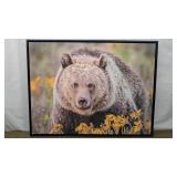 CANVAS BEAR FRAMED PRINT