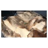 TANNED ELK HIDE