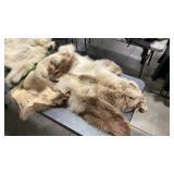 BEAR HIDE TANNED PELT