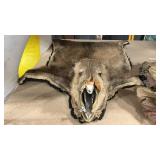 WILD BOAR PELT RUG