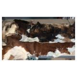 2 TANNED COW HIDES